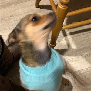 Meet your Posher, Marlyn